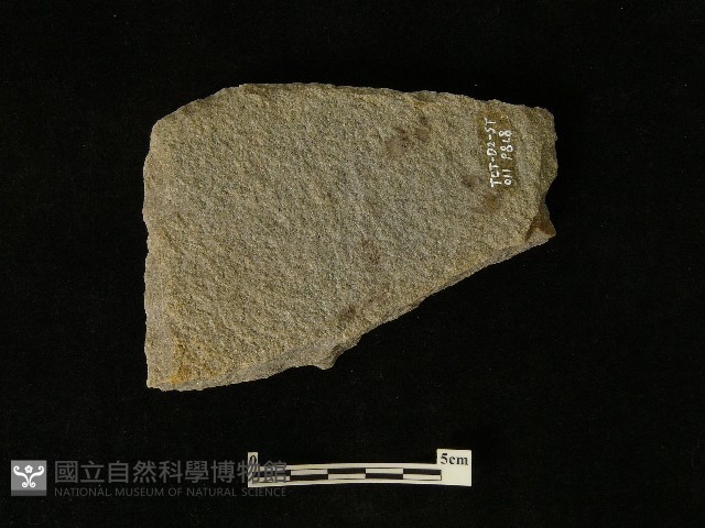 磨製斧鋤形器藏品圖，第2張