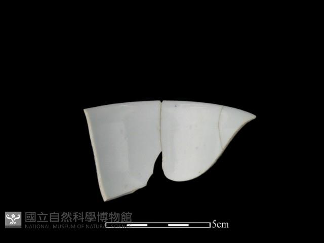 蓋碗藏品圖，第2張