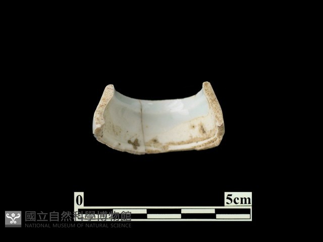 帶紋飾瓷片藏品圖，第1張