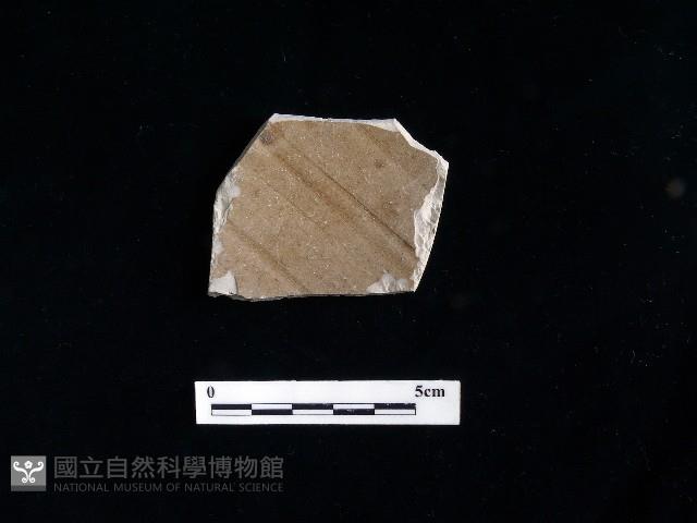 陶片藏品圖，第1張