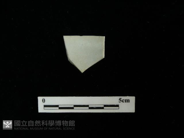 瓷片藏品圖，第2張