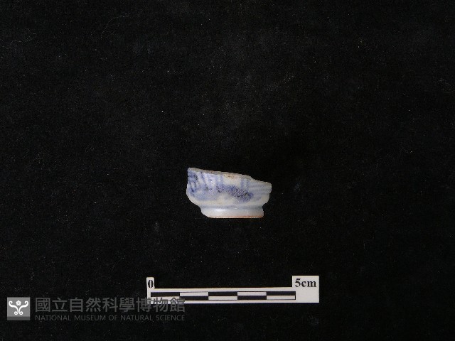 瓷杯藏品圖，第3張