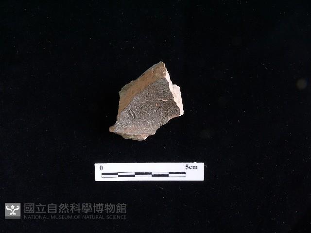 陶片藏品圖，第1張