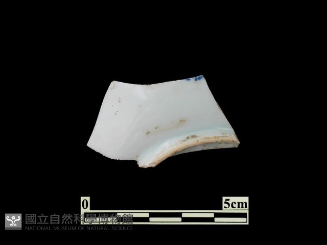 帶紋飾瓷片藏品圖，第2張