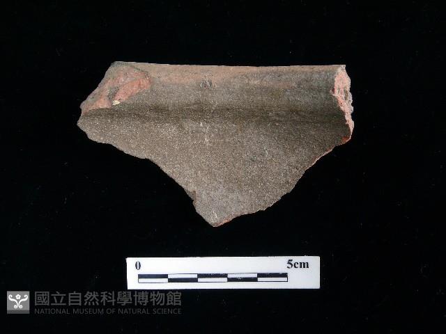 陶片藏品圖，第1張