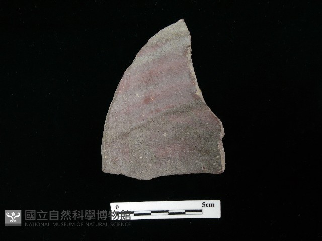 陶片藏品圖，第1張