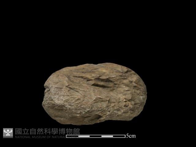 石球藏品圖，第2張