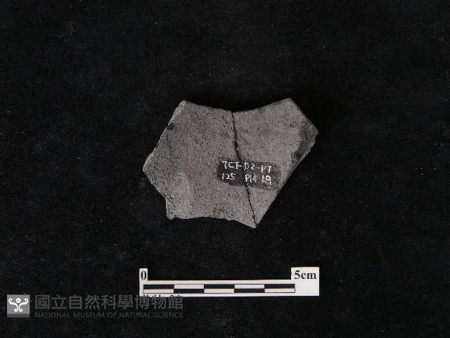 陶片藏品圖，第1張