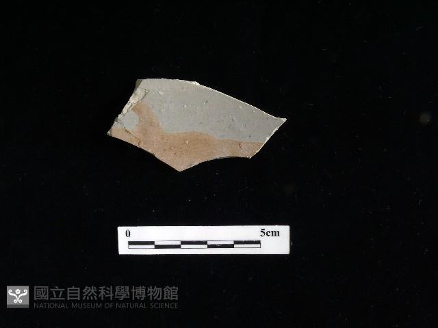 陶片藏品圖，第1張