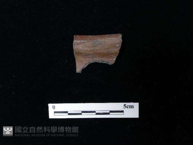 陶片藏品圖，第2張