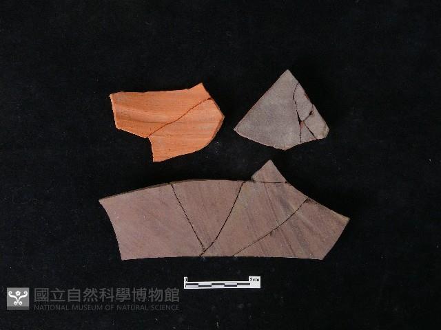 陶片藏品圖，第2張