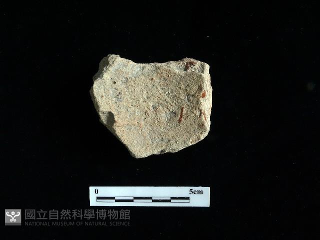 陶片藏品圖，第1張