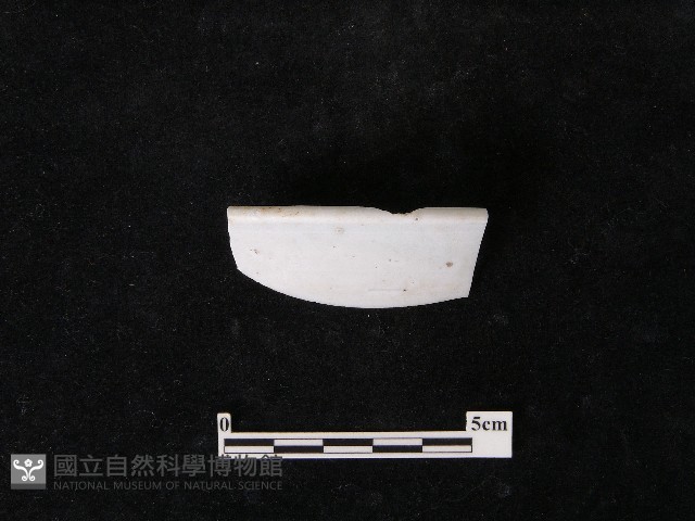 瓷碗藏品圖，第2張