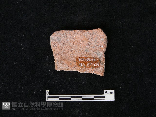 陶片藏品圖，第2張