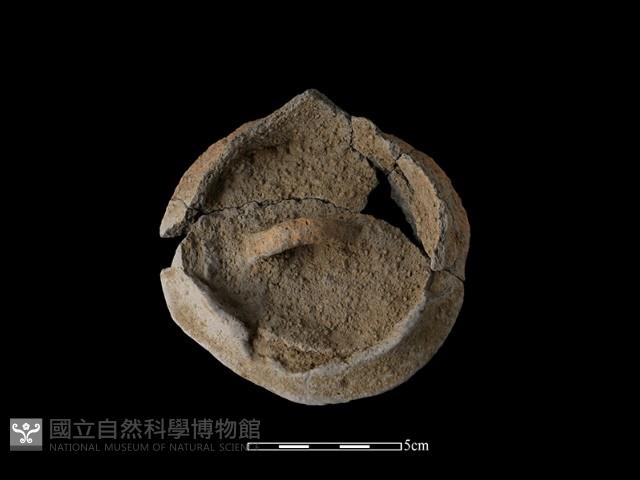 陶蓋藏品圖，第2張