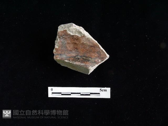 陶片藏品圖，第2張