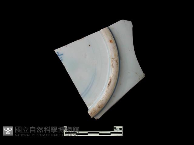 帶紋飾瓷片藏品圖，第1張