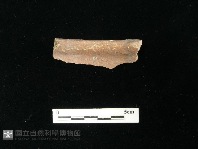 陶片藏品圖，第1張