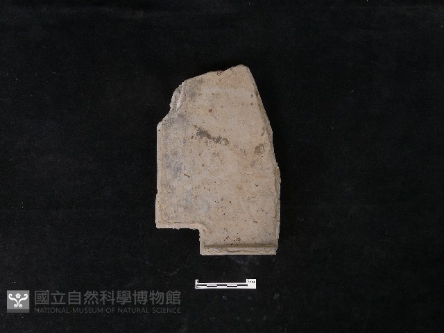 瓦片藏品圖，第2張