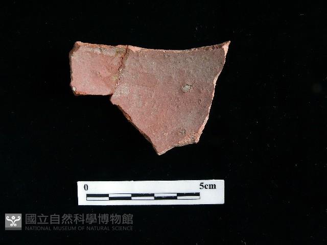 硬陶蓋藏品圖，第2張