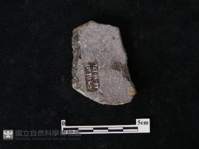 陶片藏品圖，第1張