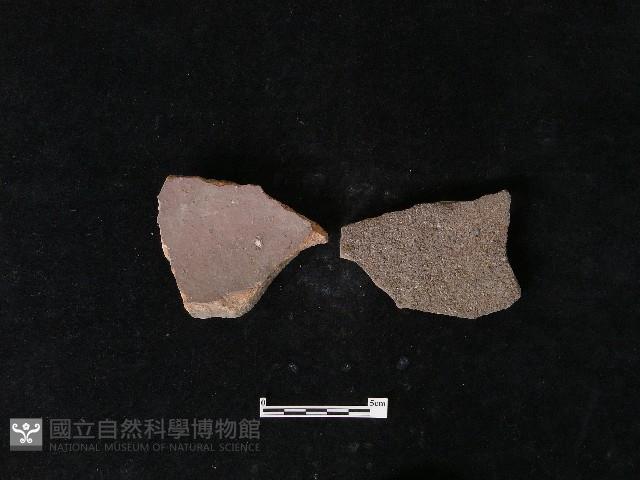 陶片藏品圖，第2張