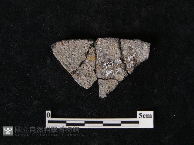 陶片藏品圖，第2張