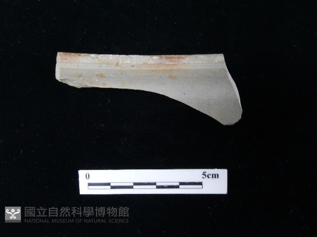 陶片藏品圖，第2張