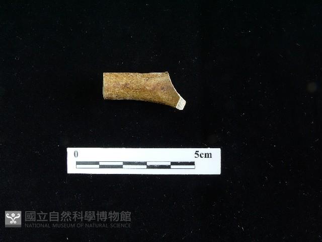 陶把藏品圖，第2張
