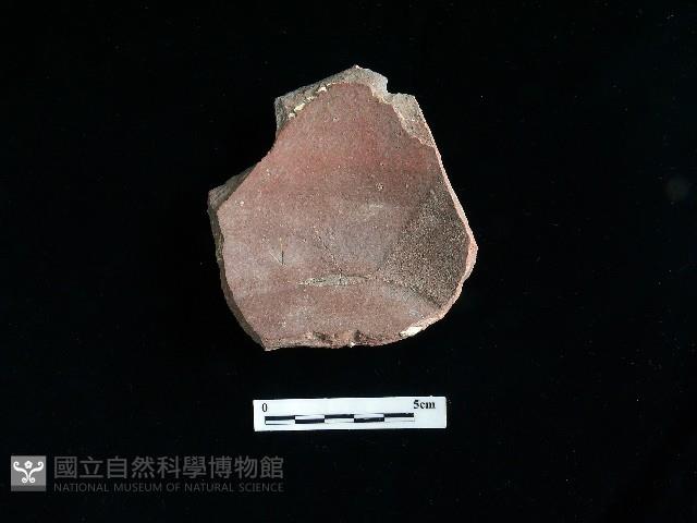 陶片藏品圖，第2張