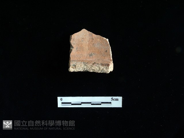 陶片藏品圖，第1張