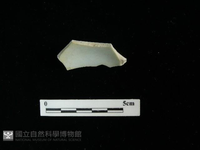 瓷片藏品圖，第2張