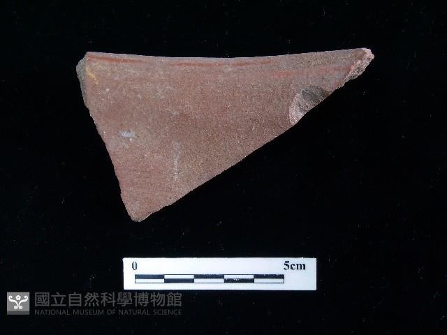 陶片藏品圖，第2張