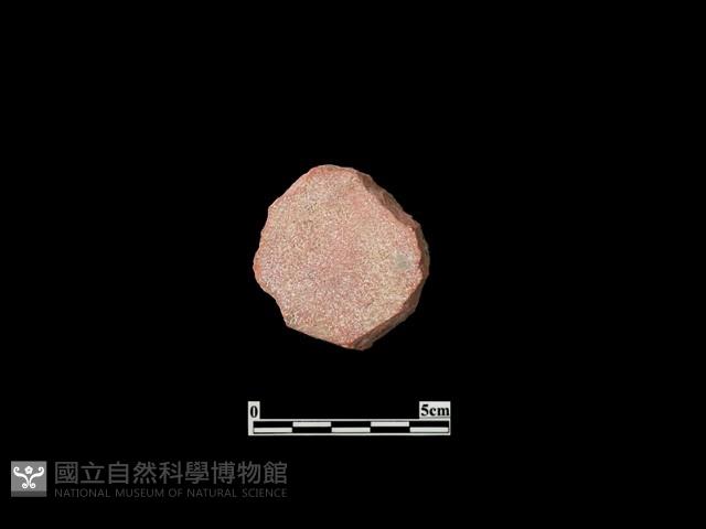 玩具藏品圖，第1張