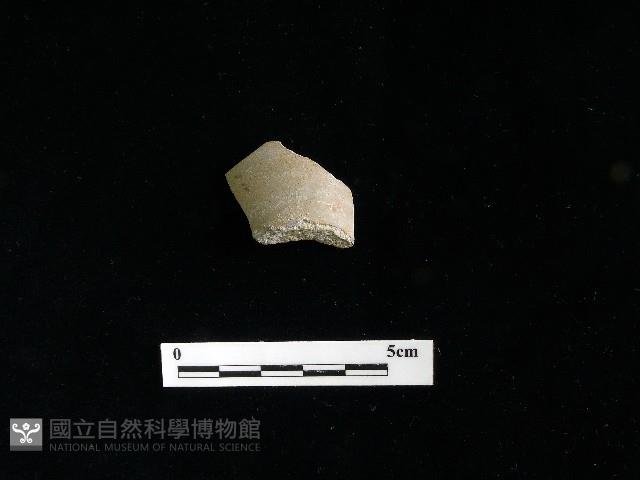 陶片藏品圖，第1張