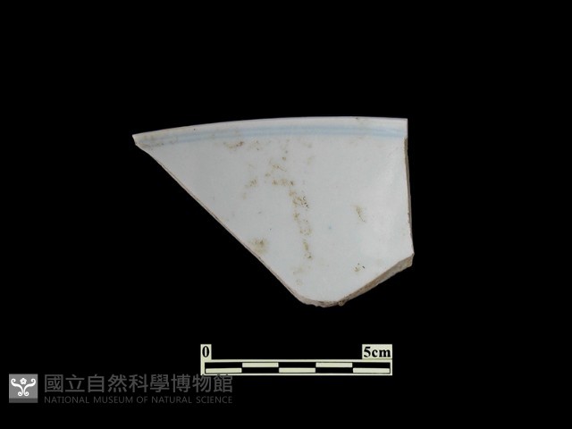 帶紋飾瓷片藏品圖，第1張