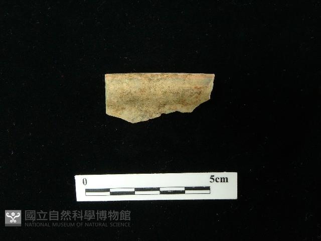 陶片藏品圖，第2張