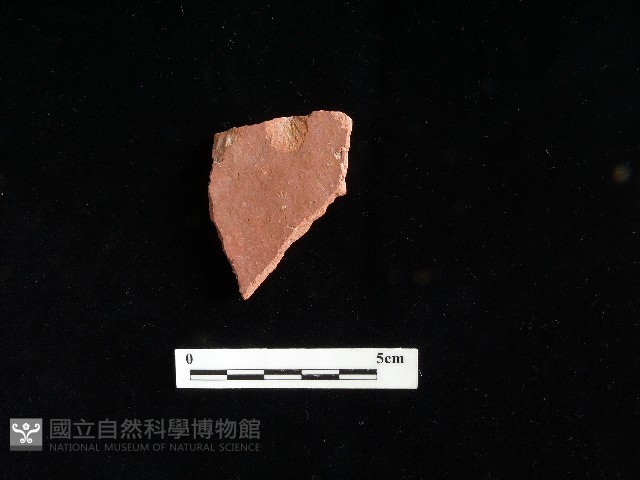 陶片藏品圖，第1張