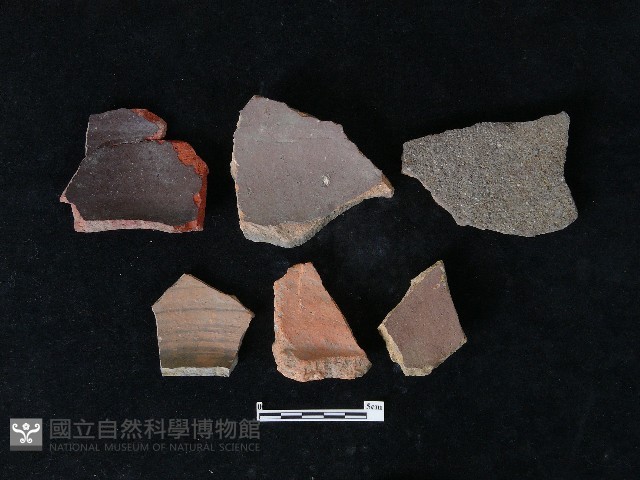 陶片藏品圖，第1張