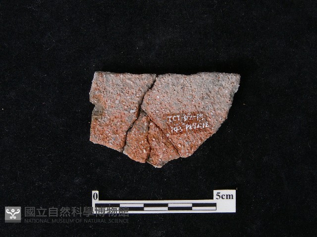 陶片藏品圖，第1張
