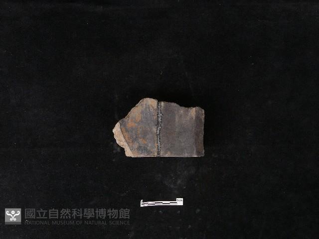 瓦片藏品圖，第1張