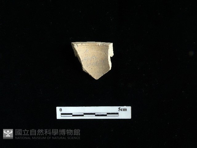 陶片藏品圖，第2張