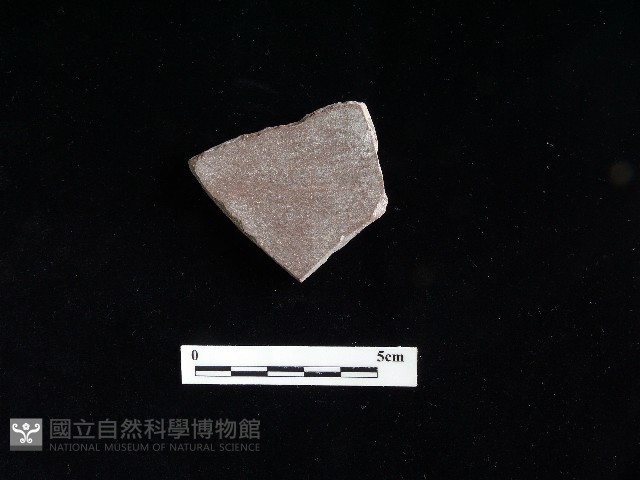 陶片藏品圖，第2張