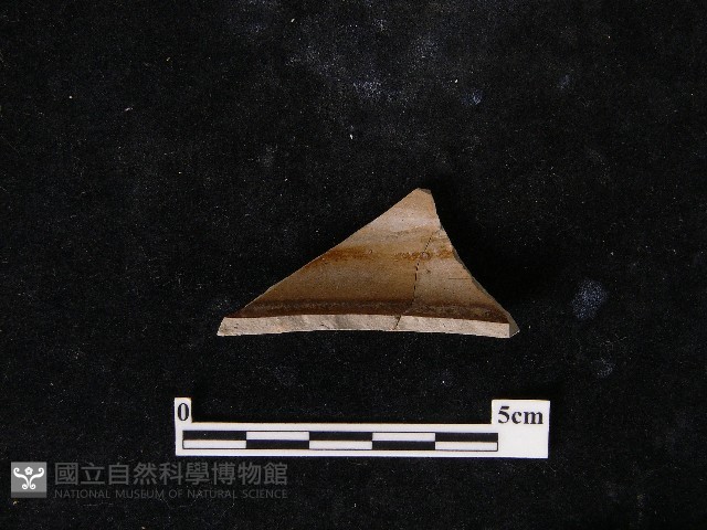 陶片藏品圖，第1張