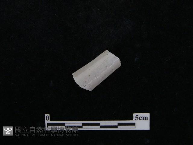 湯匙藏品圖，第2張