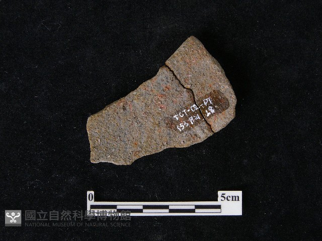 陶片藏品圖，第2張