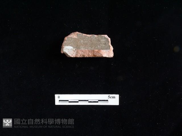 陶片藏品圖，第2張