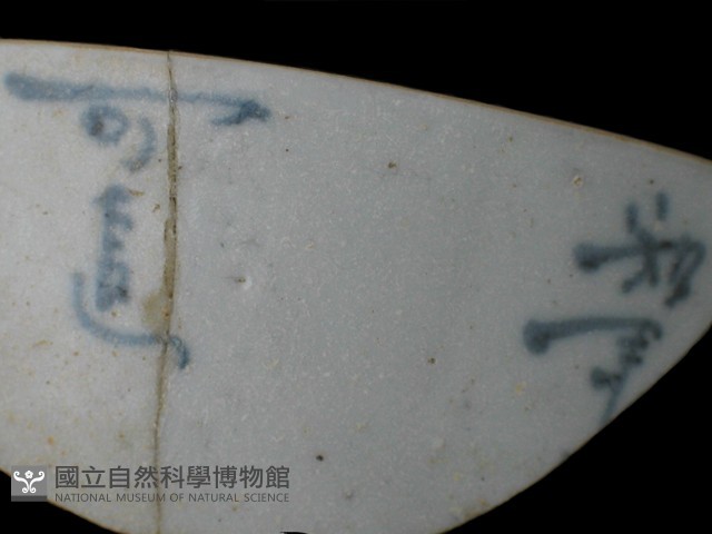帶紋飾瓷片藏品圖，第1張