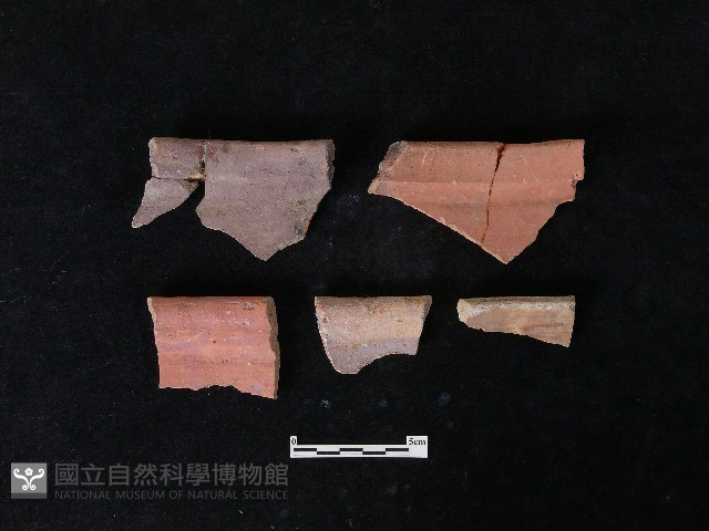 陶片藏品圖，第2張