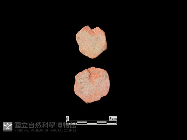 玩具藏品圖，第2張